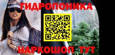 спиды Бердск